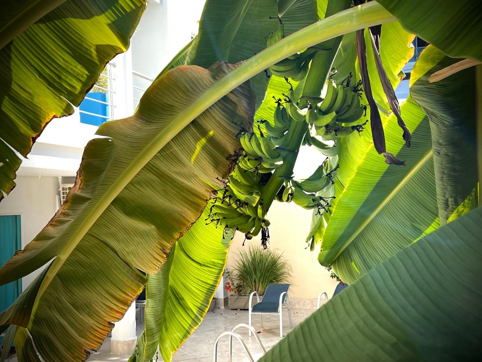 Charme 64 Hotel Boutique Cartagena Exterior photo